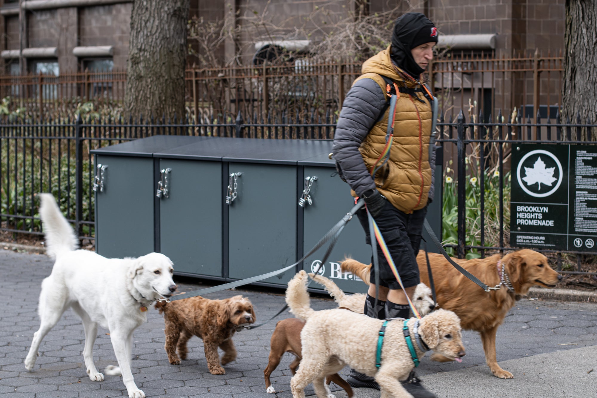 NYC vs. The World: The Future of Trash