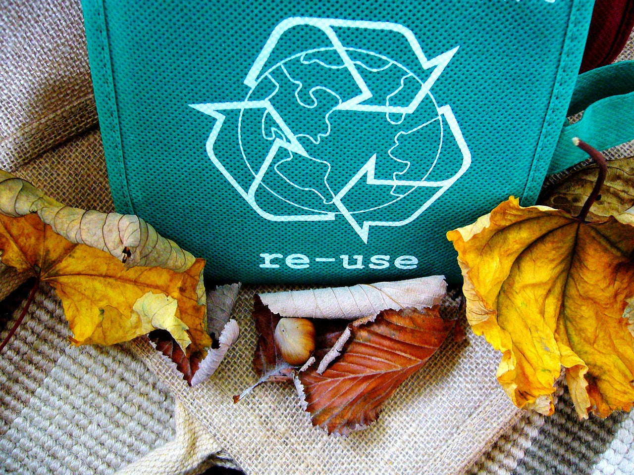 Top Recycling Organization Ideas
