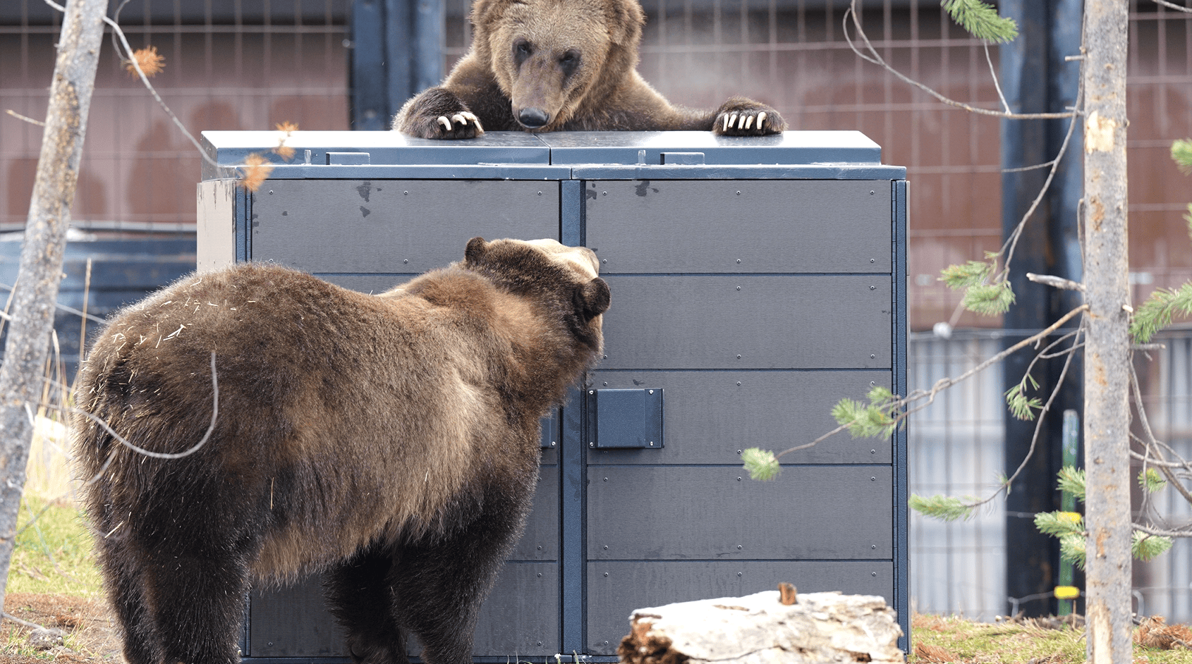 BEAR RESISTANT ENCLOSURE (Copy)